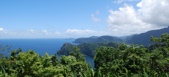 Picture of T&T landscape courtesy Tonisha Idowu